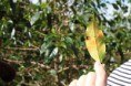 /album/fotogaleria/img-5804-ko%cc%81pia-jpg/
